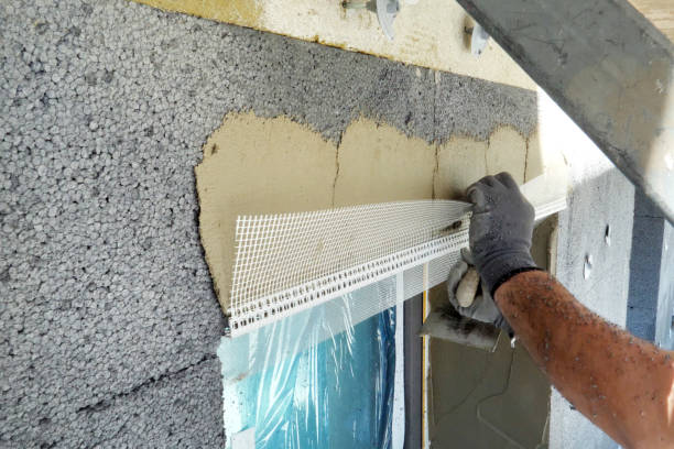 Best Wall Insulation Installation  in Mountain Lake, MN