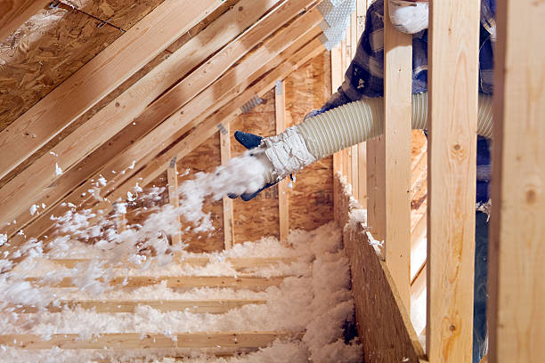 Best Insulation Air Sealing  in Mountain Lake, MN